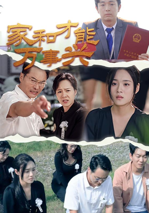 家和才能万事兴（30集）夸克在线观看