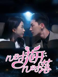 几时花开几时落（66集）全集免费