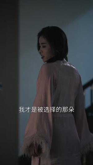 替身金丝雀（66集）看精彩短剧