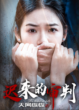 天网恢恢之迟来的审判（31集）短剧抢先看全集