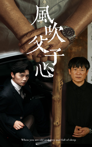风吹父子心（65集）男主角是谁
