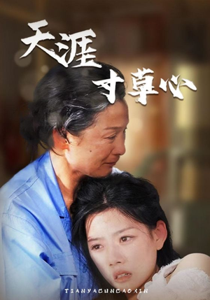 天涯寸草心（76集）全剧免费观看