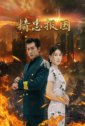 精忠报国（61集）在线免费观影