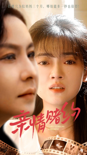 亲情赌约（51集）海量资源免费看