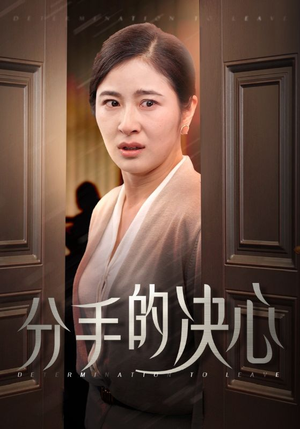分手的决心（39集）在线观看全集