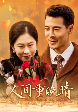 人间重晚情（38集）短剧小说在线看