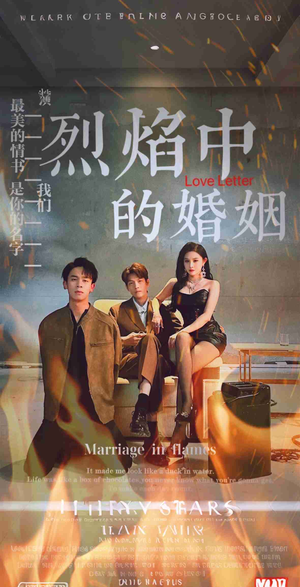 烈焰中的婚姻（32集）在哪里可以看