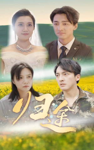 归途（52集）短剧介绍