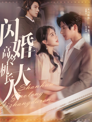 机长先生，听我指挥（92集）在线观看完整版