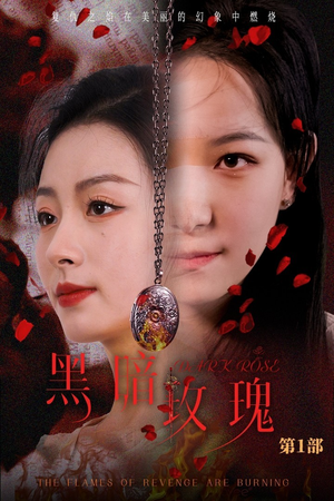黑暗玫瑰（84集）看到了大结局