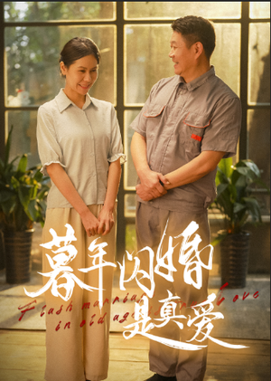暮年闪婚是真爱（36集）免费短剧合集