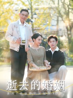 逝去的婚姻（60集）百万短剧抢先看