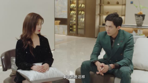 试探（24集）在线看