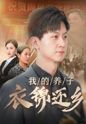 我的养子衣锦还乡（74集）评价怎么样