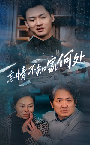 忘情不知家何处（53集）观看软件