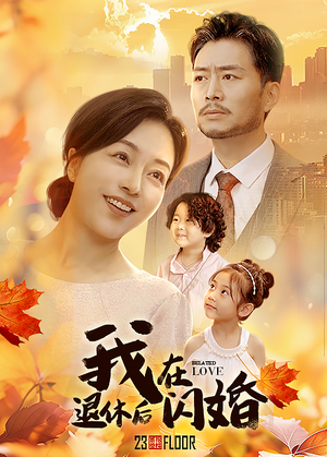 我在退休后闪婚（55集）精彩短剧追不停