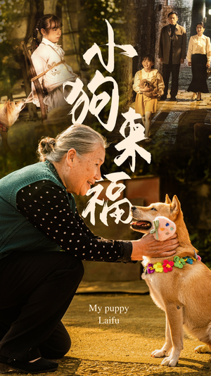 小狗来福（30集）精彩短剧推荐
