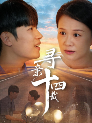 寻亲十四载（50集）一口气追完全集