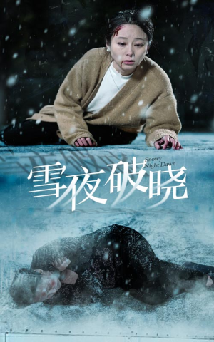 雪夜破晓（36集）免费看全网短剧