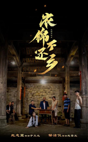 衣锦不还乡（69集）热播短剧分享