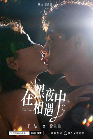 在黑夜中相遇（32集）短剧在线更新