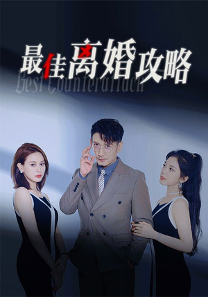 最佳离婚攻略（31集）好看短剧抢先看