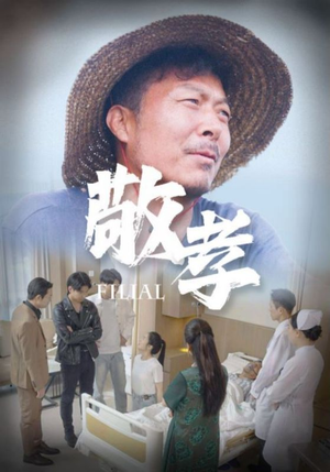 敬孝（61集）短剧每日分享