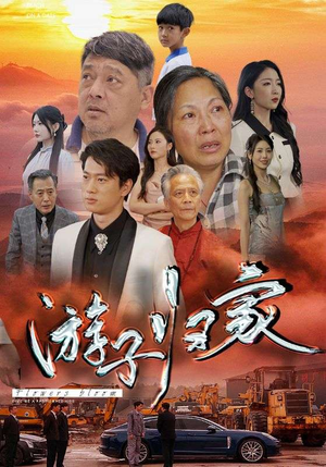 游子归家（88集）高质量短剧推荐