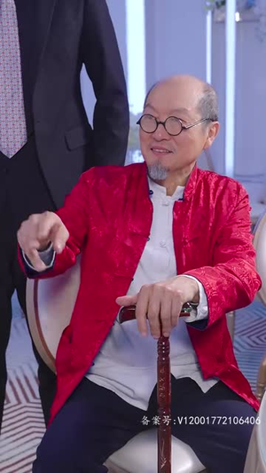 4.手握八百纵横四海（93集）精彩连连免费看