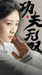 功夫无双（65集）在线免费观影