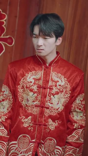 乡村卧龙（88集）短剧解说热门