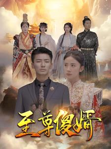至尊傻婿（82集）在哪里可以全集