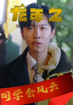 龙年之同学会风云（94集）在线免费观影