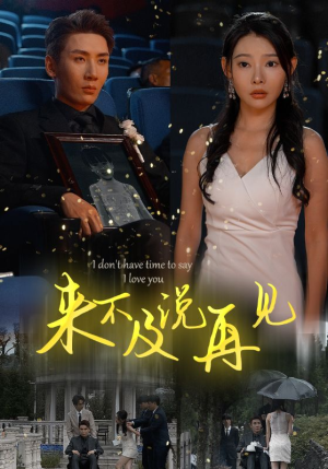 来不及说再见（30集）全集下载