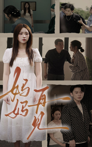 妈妈，再见（28集）男主角是谁