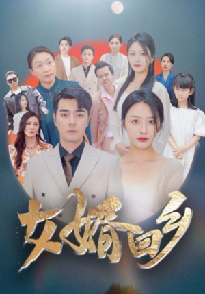 女婿回乡（120集）百度在线观看