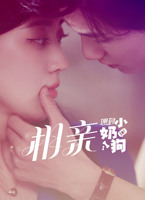 相亲遇到小奶狗（80集）口碑爆棚免费看