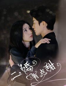 二婚有点甜（88集）最火爆短剧