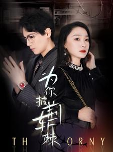 为你披荆斩棘（90集）第32集