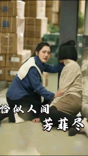 恰似人间芳菲尽（68集）全集我都看完了