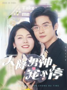 天降男神宠不停（100集）热播短剧推荐