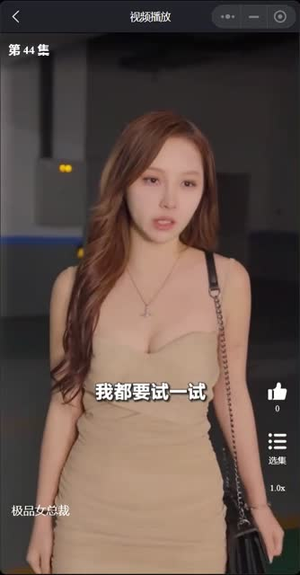 我的富豪美女总裁（我的极品女总裁）红果短剧免费看
