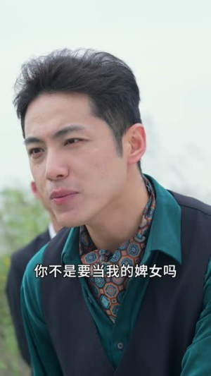 高手下山，退婚九个未婚妻（100集）免费版