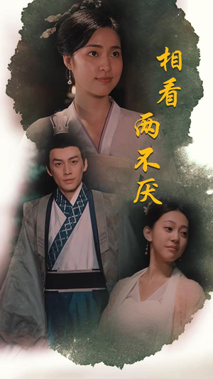 相看两不厌（85集）第32集