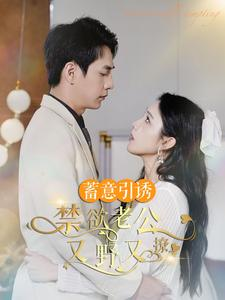 婚约老公他明宠暗撩（98集）一起追短剧