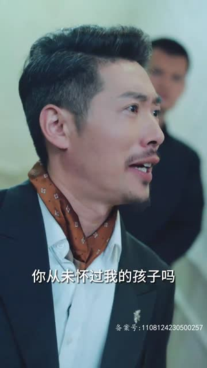不辞春色（96集）解说文案