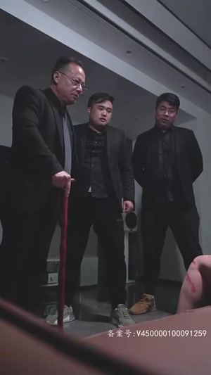 我的夫人会仙术（100集）怎么看全集