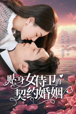 贴身女侍卫的契约婚姻（91集）短剧介绍