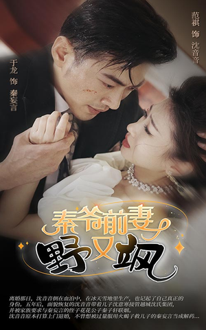 秦爷前妻野又飒（100集）在哪个平台看好