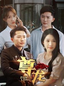 新版：尊龙（97集）短剧免费观看